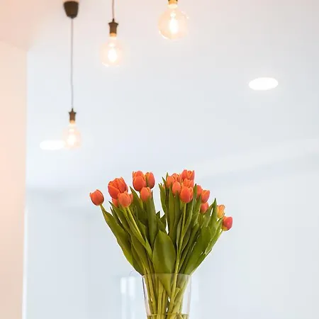 Szálloda K-apart & Boardinghouse 4*