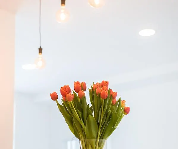 Otel K-apart & Boardinghouse 4*